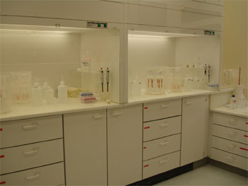 Radiogenic Isotope Facility Section For Mineralogy Petrology